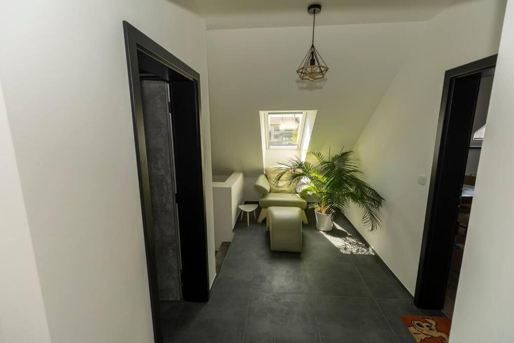 Apartment Stylish New 